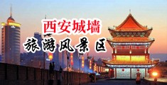 两个大黑几把操女人逼中国陕西-西安城墙旅游风景区
